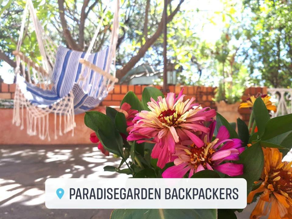 Paradisegarden Backpackers Windhoek Eksteriør bilde