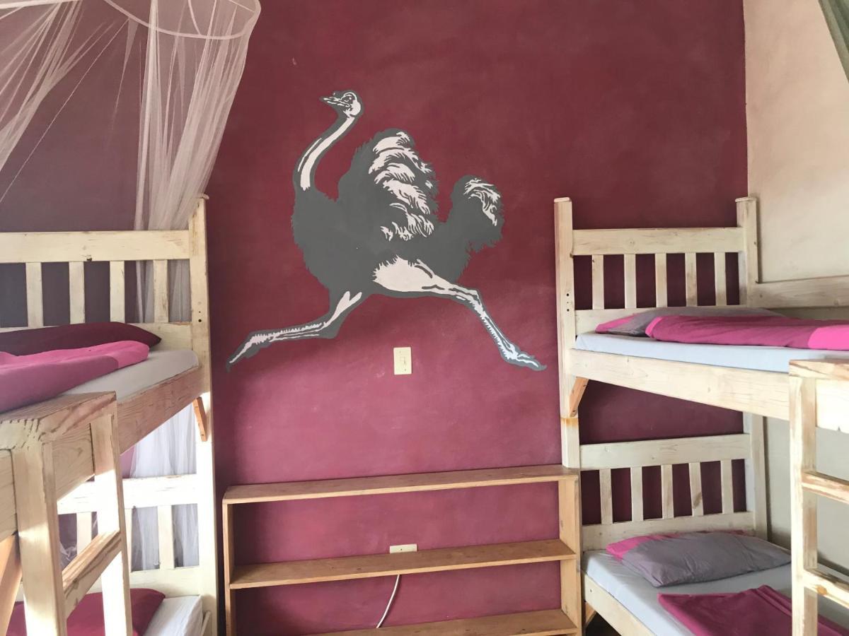 Paradisegarden Backpackers Windhoek Eksteriør bilde